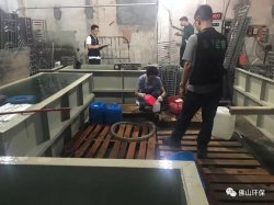 佛山三級(jí)環(huán)保加公安部門聯(lián)合執(zhí)法查處南海2家污企，七人被帶走調(diào)查